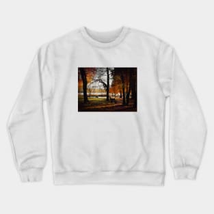 Autumn fallen leaves landscape, italian colors photography Crewneck Sweatshirt